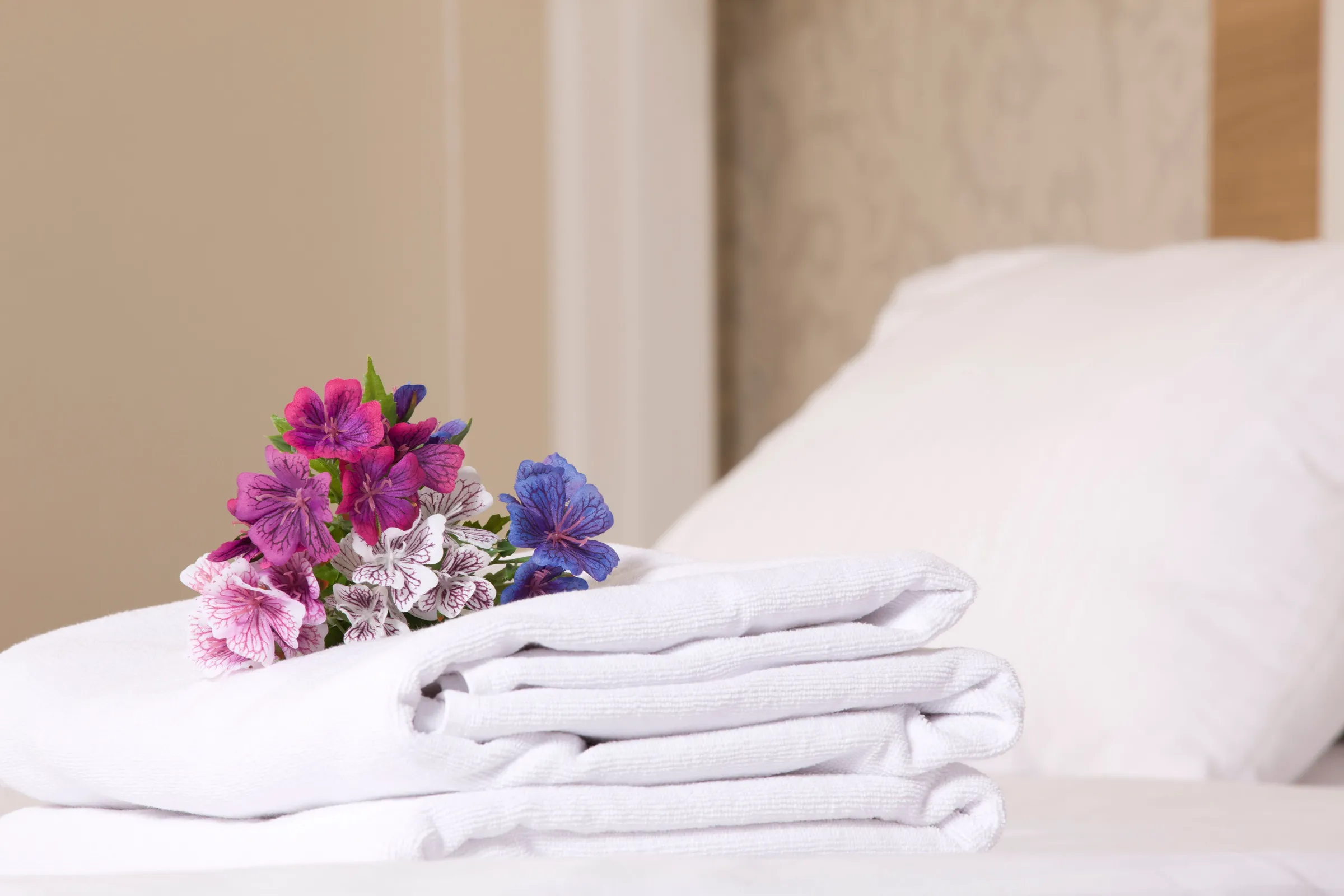 Guest experience